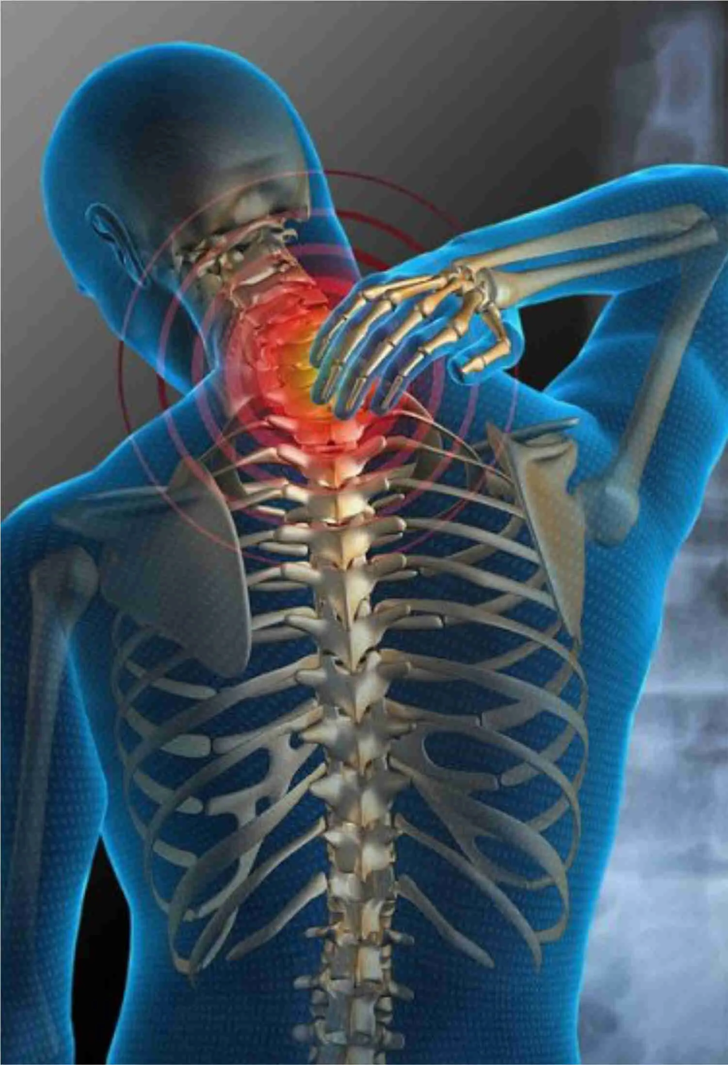 Espai Saludable. Osteopatía y Dietética en Mallorca